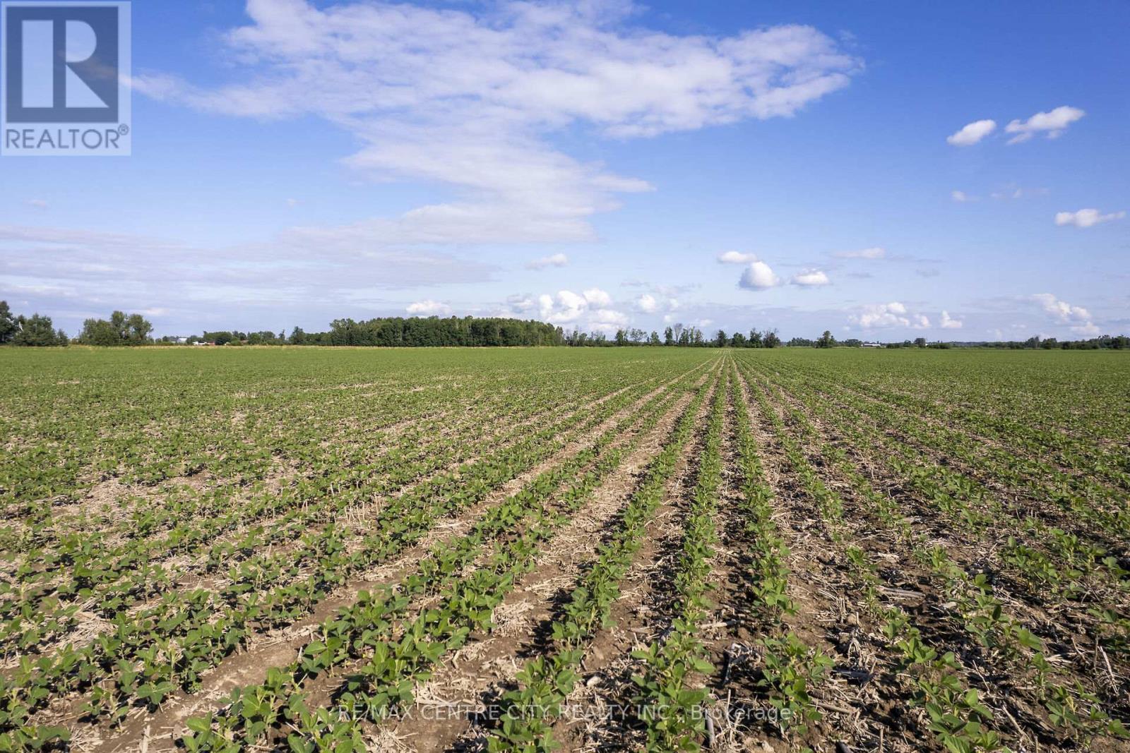 Pt Lt 21 Conc 1 Burwell Road, Admaston/bromley, Ontario K0J 0A6 - Photo 4 - X12541720