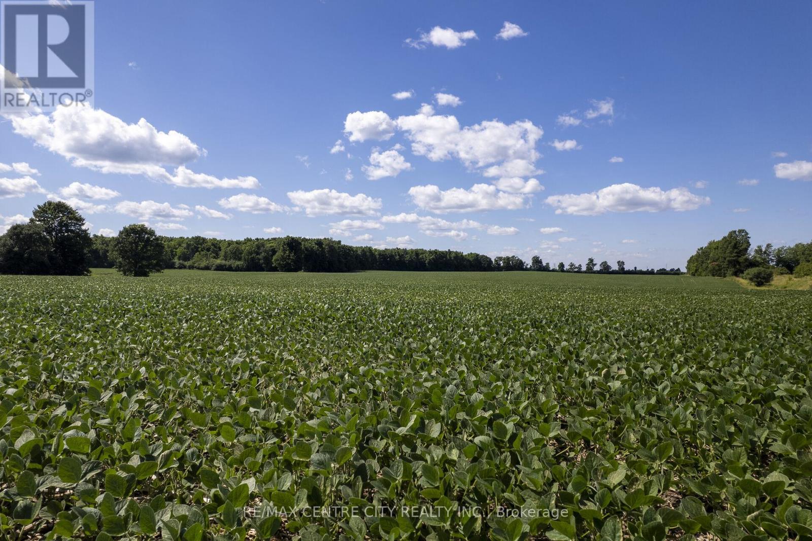 Pt Lt 21 Conc 1 Burwell Road, Admaston/bromley, Ontario K0J 0A6 - Photo 9 - X12541720