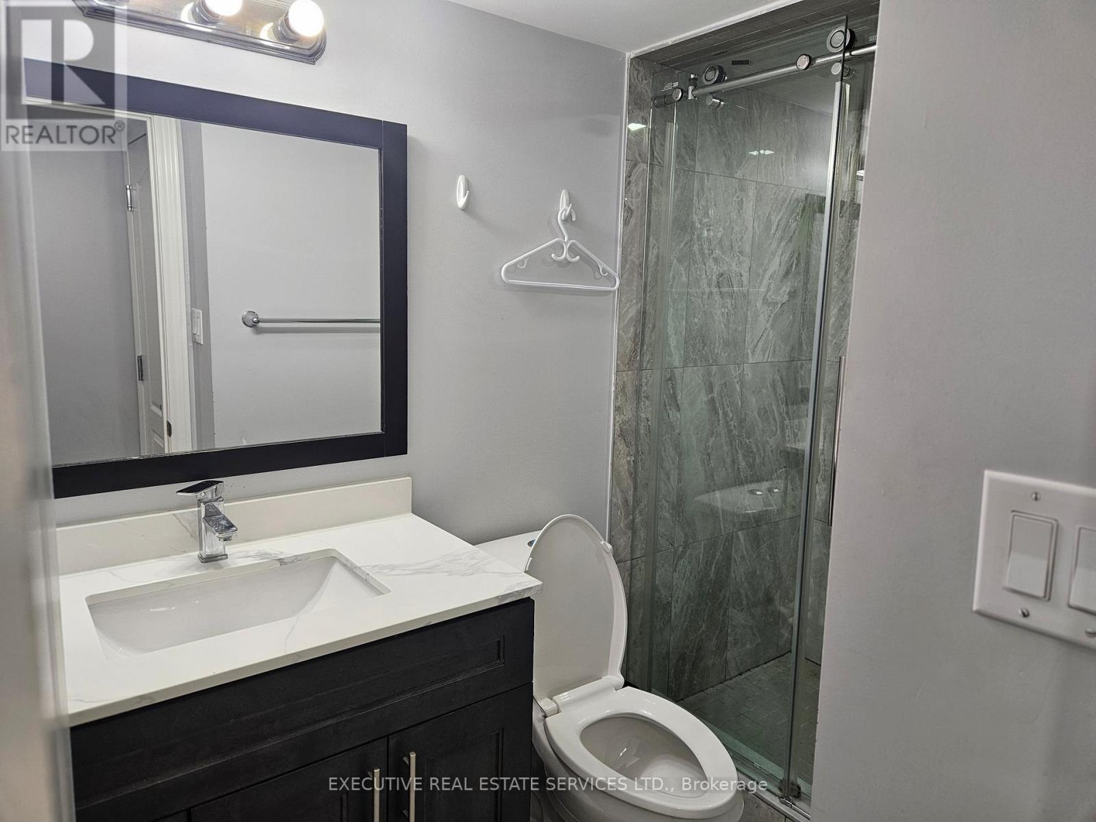 (Basement) - 5454 Tasha Drive, Mississauga, Ontario  L5M 6N5 - Photo 35 - W12608142