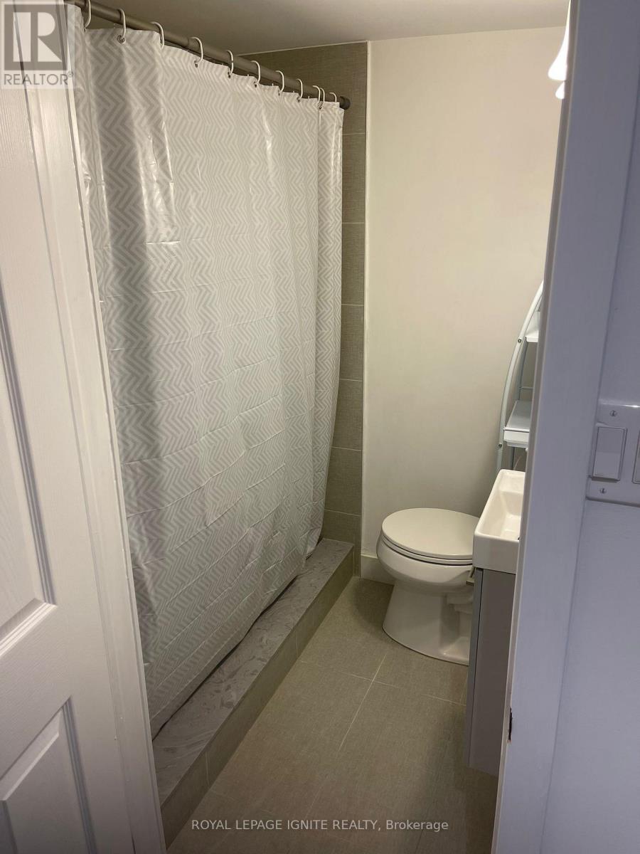 Bsmt - 102 Westcroft Drive, Toronto (West Hill), Ontario  M1E 3A5 - Photo 8 - E12608286