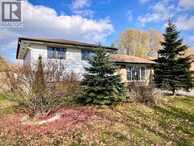 7053 Bonnie Street, Niagara Falls, Ontario  L2G 7N1 - Photo 2 - 40792622