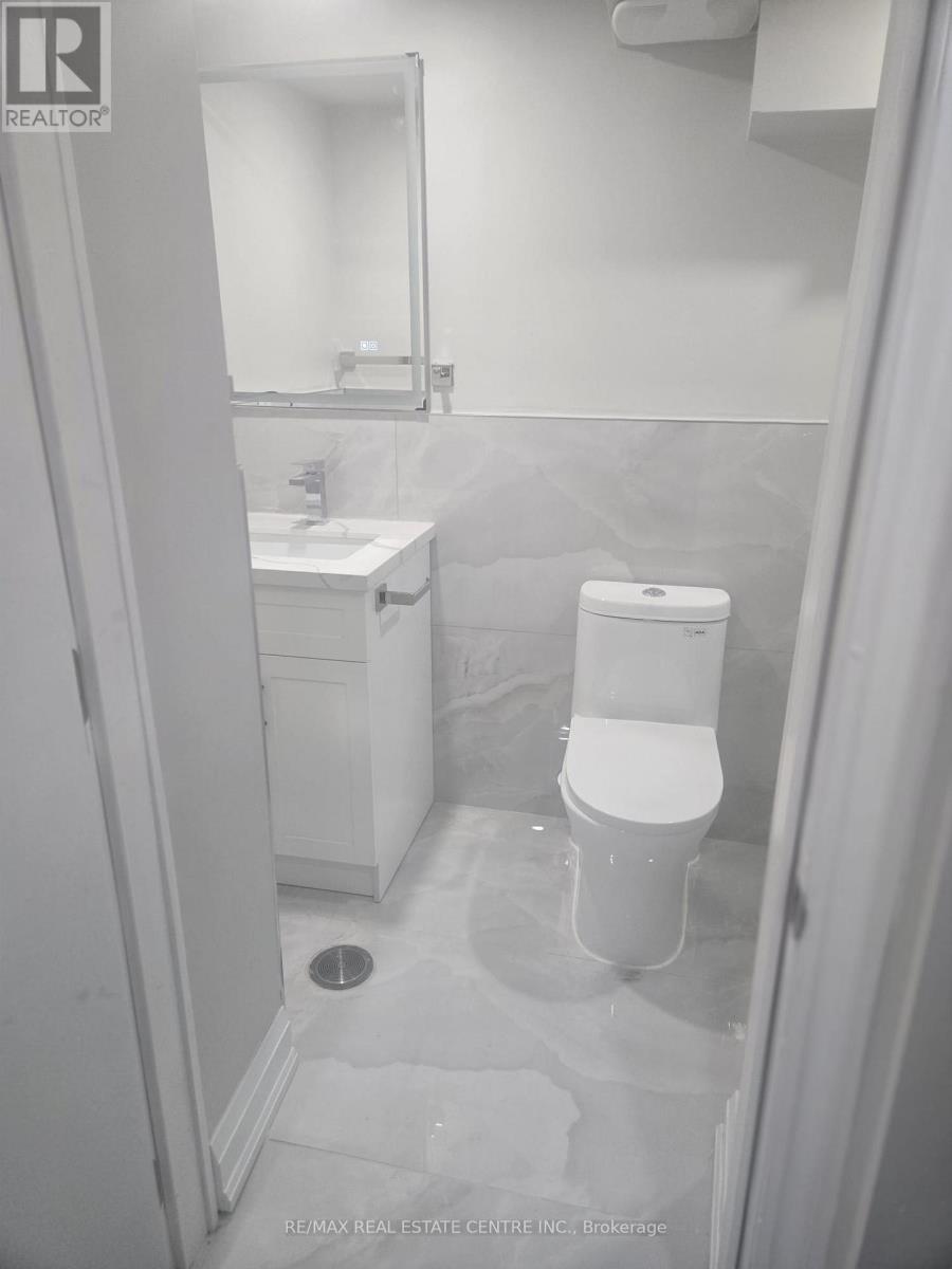 Basement - 7 Avanti Crescent, Hamilton, Ontario  L8B 1W7 - Photo 11 - X12608304