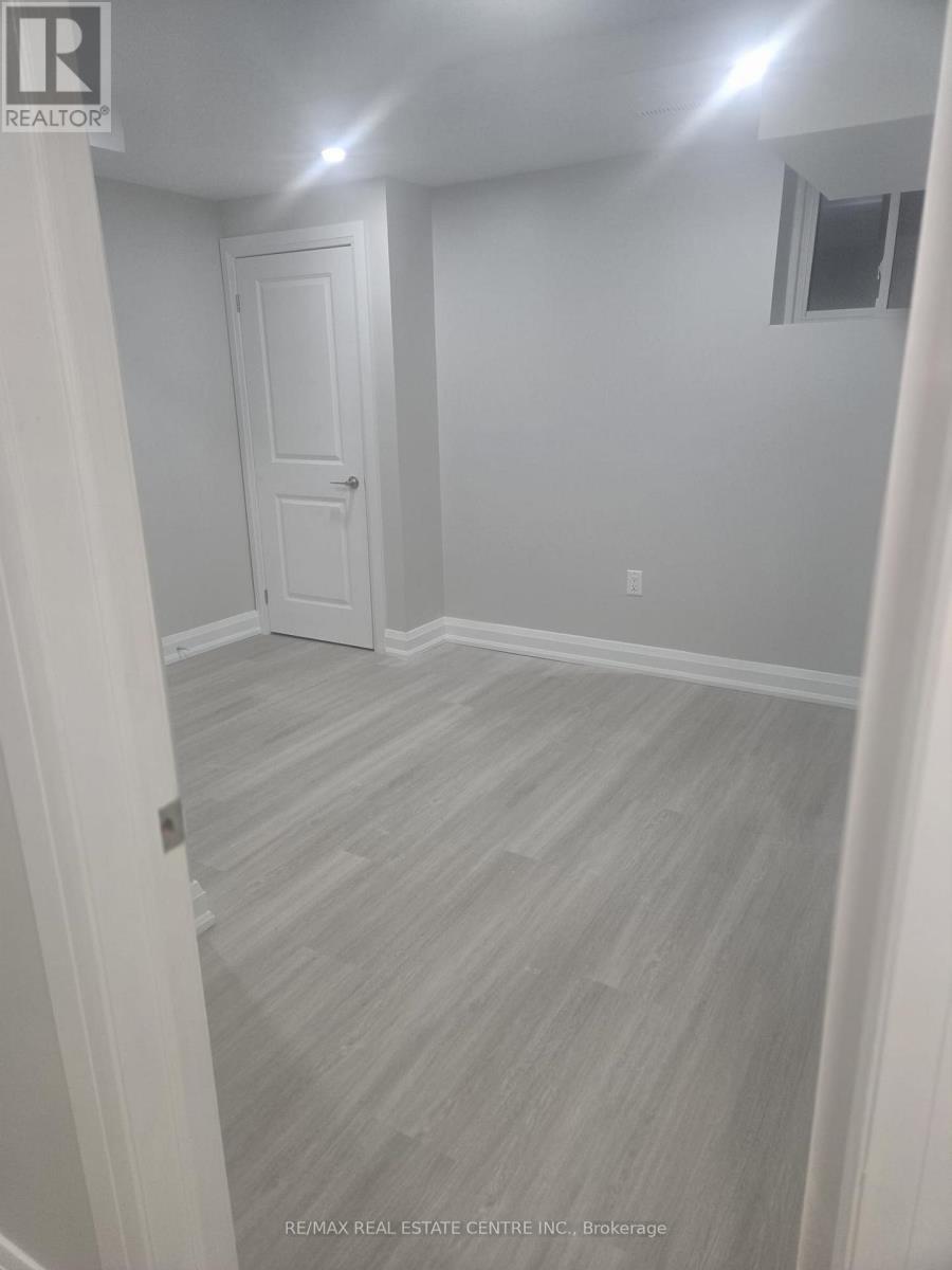 Basement - 7 Avanti Crescent, Hamilton, Ontario  L8B 1W7 - Photo 6 - X12608304