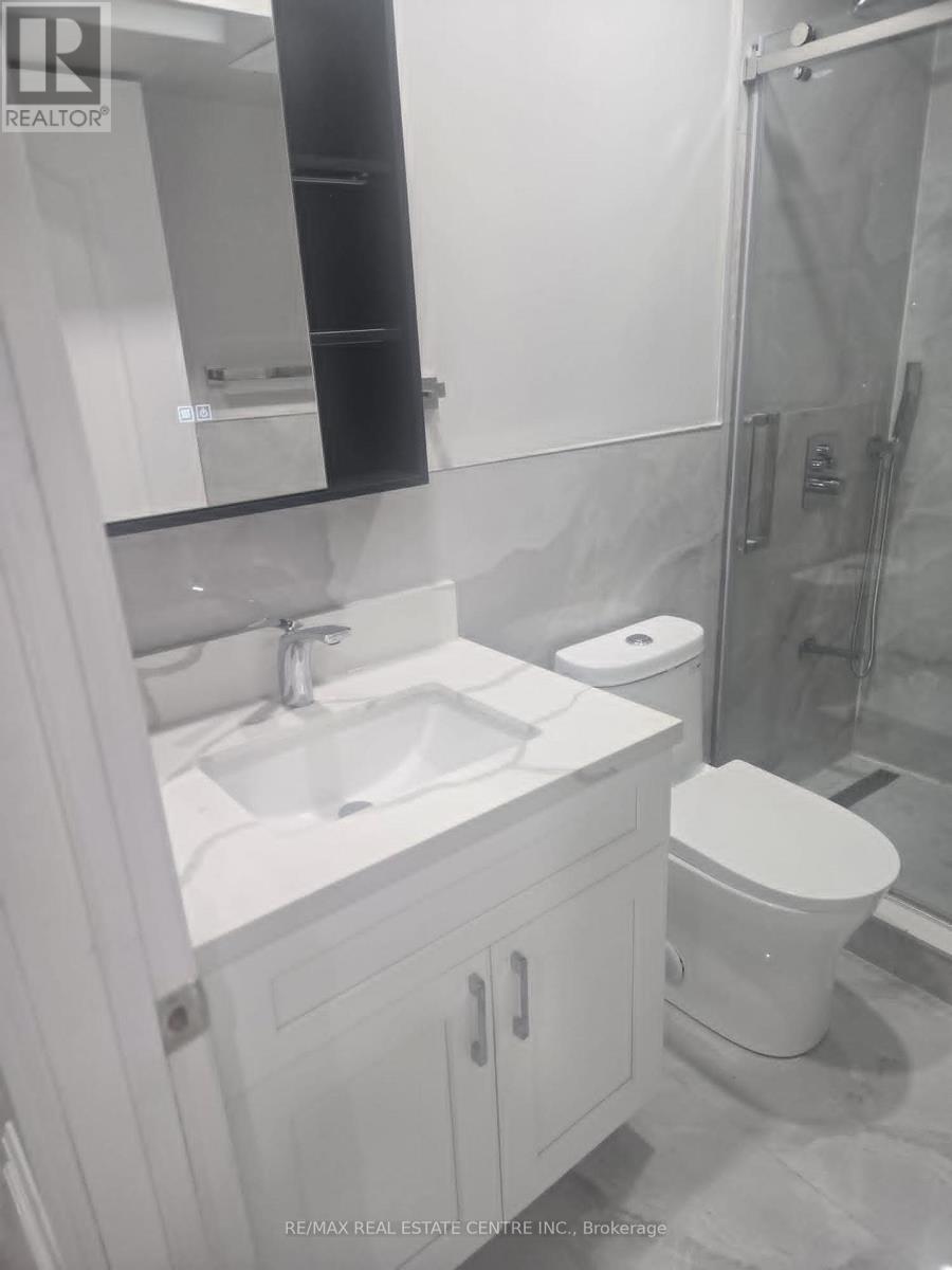 Basement - 7 Avanti Crescent, Hamilton, Ontario  L8B 1W7 - Photo 9 - X12608304