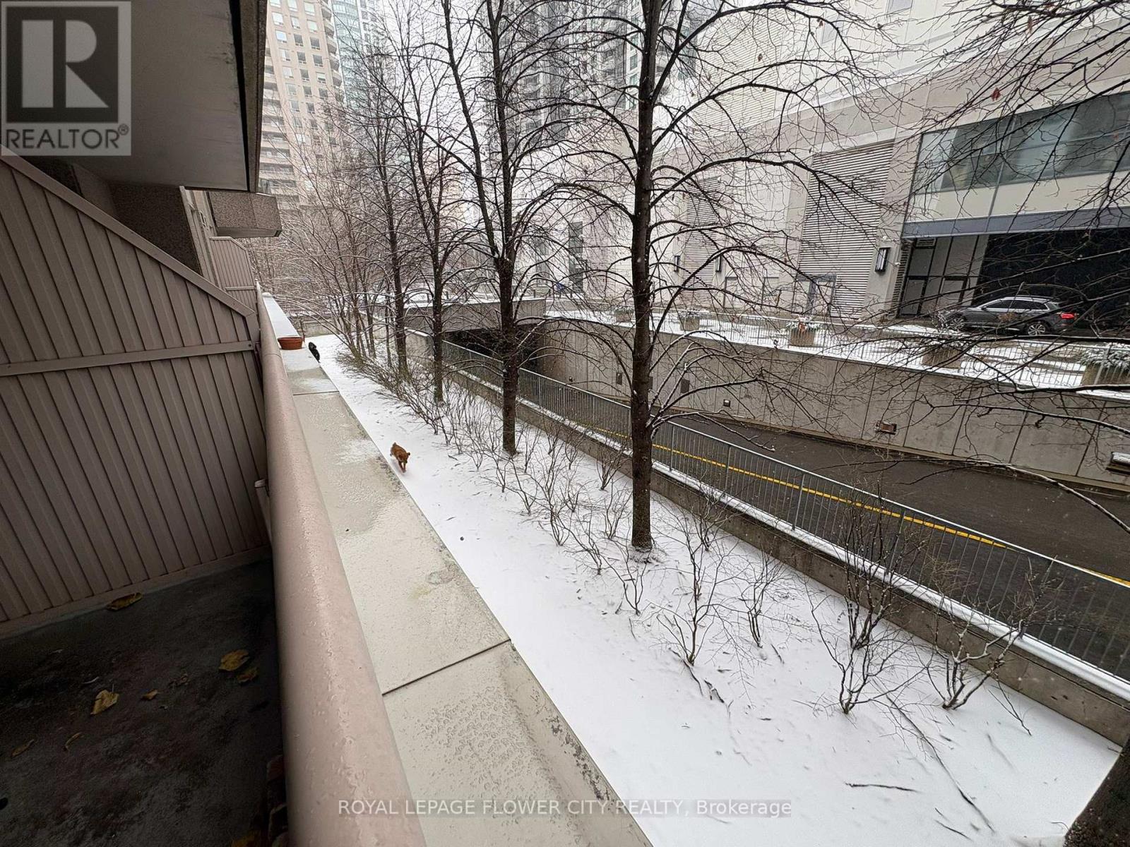 209 - 35 Empress Avenue, Toronto, Ontario  M2N 6T3 - Photo 19 - C12608442