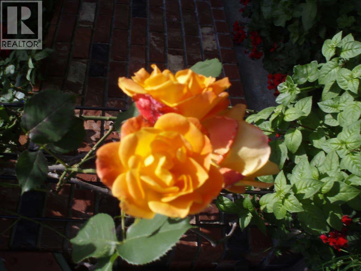 1498 Chamberlain Drive, North Vancouver, British Columbia  V7K 1P6 - Photo 29 - R3071019