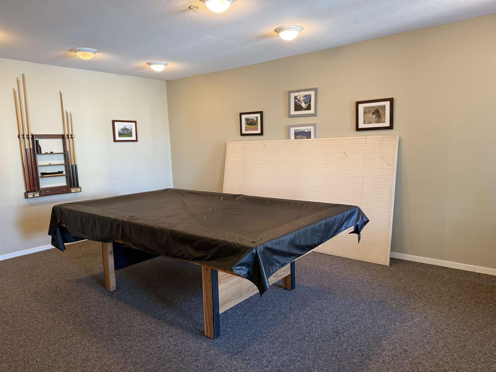 210 22022 49 Avenue, Langley, British Columbia  V3A 3R9 - Photo 21 - R3004019