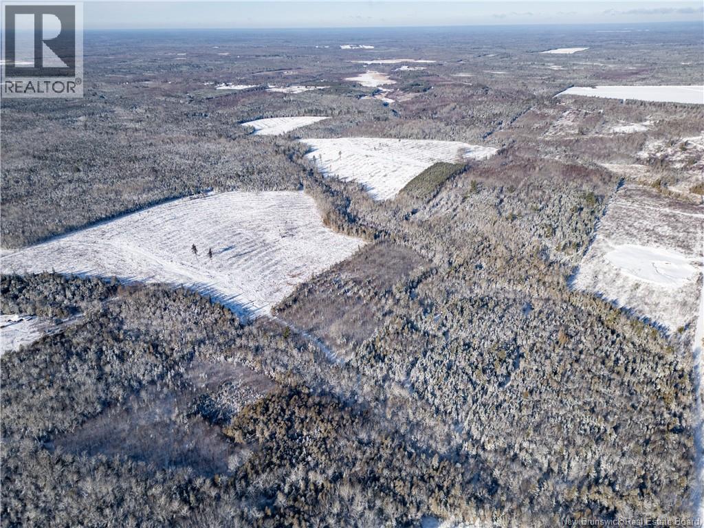Lot Bristol Road, Saint-Paul, New Brunswick E4T 3C9 - Photo 13 - NB130991