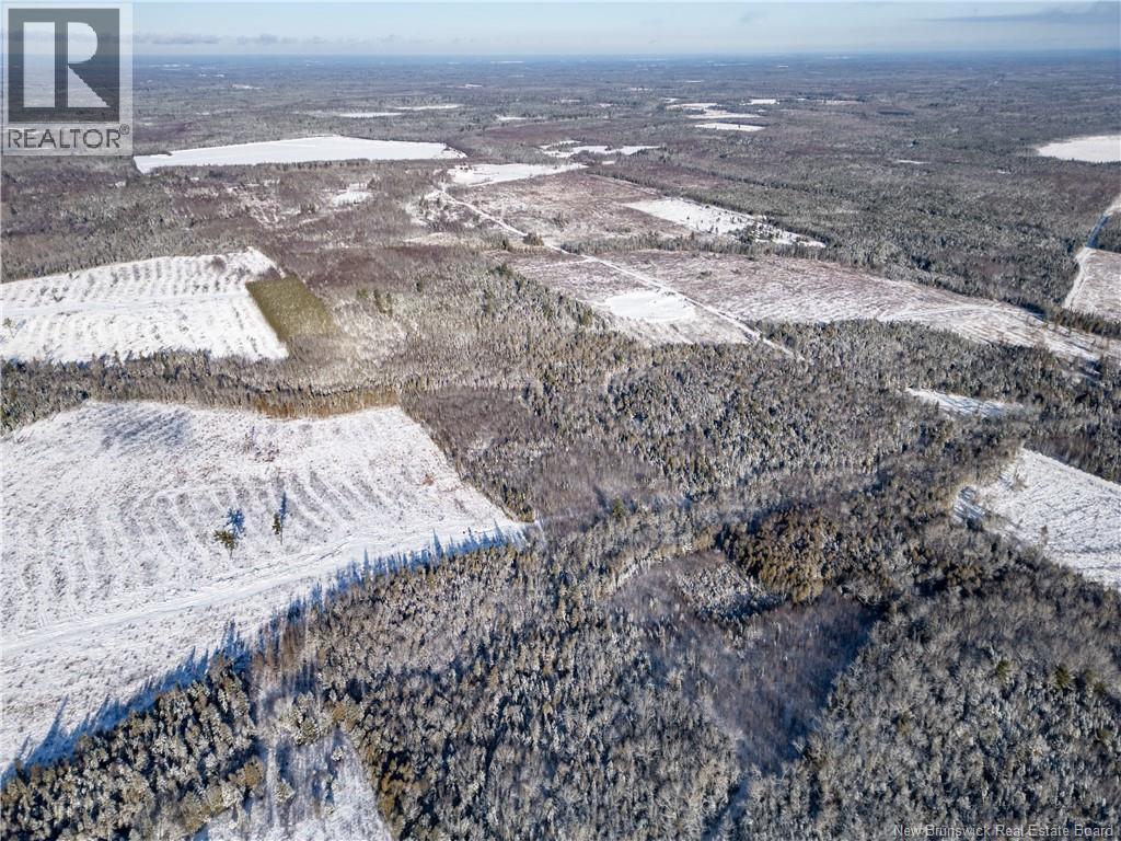 Lot Bristol Road, Saint-Paul, New Brunswick E4T 3C9 - Photo 14 - NB130991