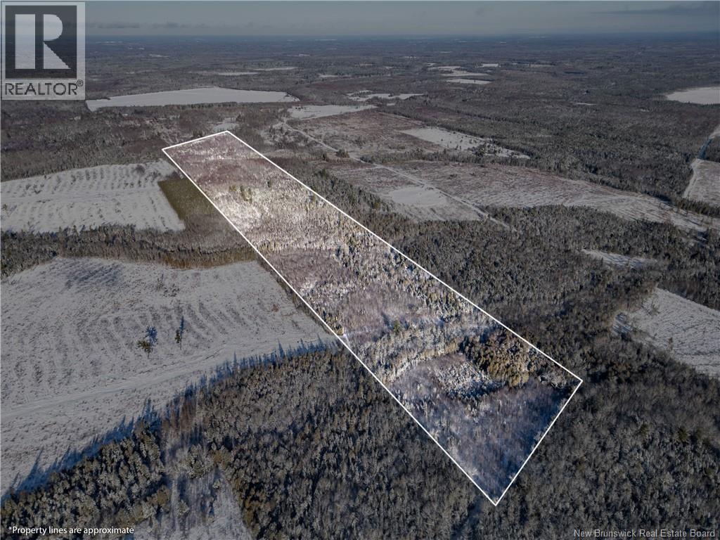 Lot Bristol Road, Saint-Paul, New Brunswick E4T 3C9 - Photo 2 - NB130991