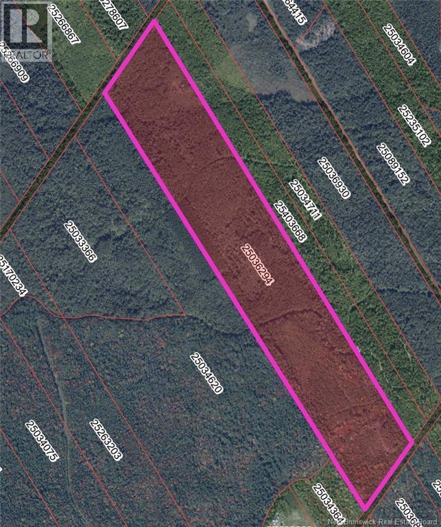 Lot Bristol Road, Saint-Paul, New Brunswick E4T 3C9 - Photo 8 - NB130991