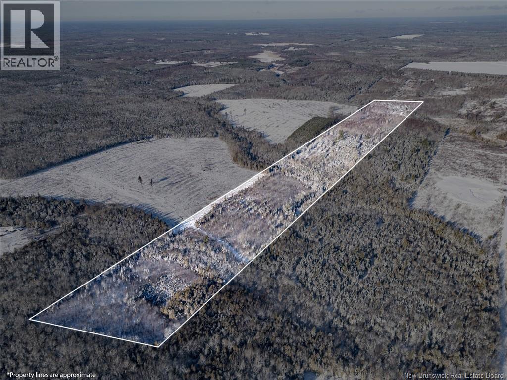 Lot Bristol Road, Saint-Paul, New Brunswick E4T 3C9 - Photo 1 - NB130991