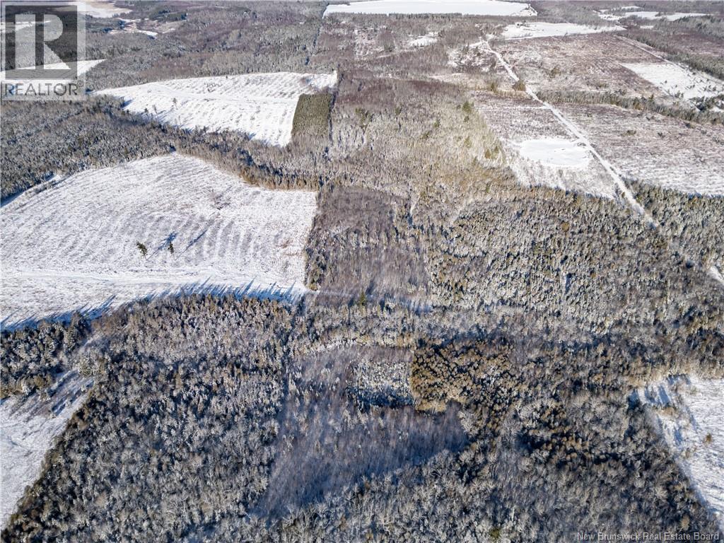 Lot Bristol Road, Saint-Paul, New Brunswick E4T 3C9 - Photo 12 - NB130991