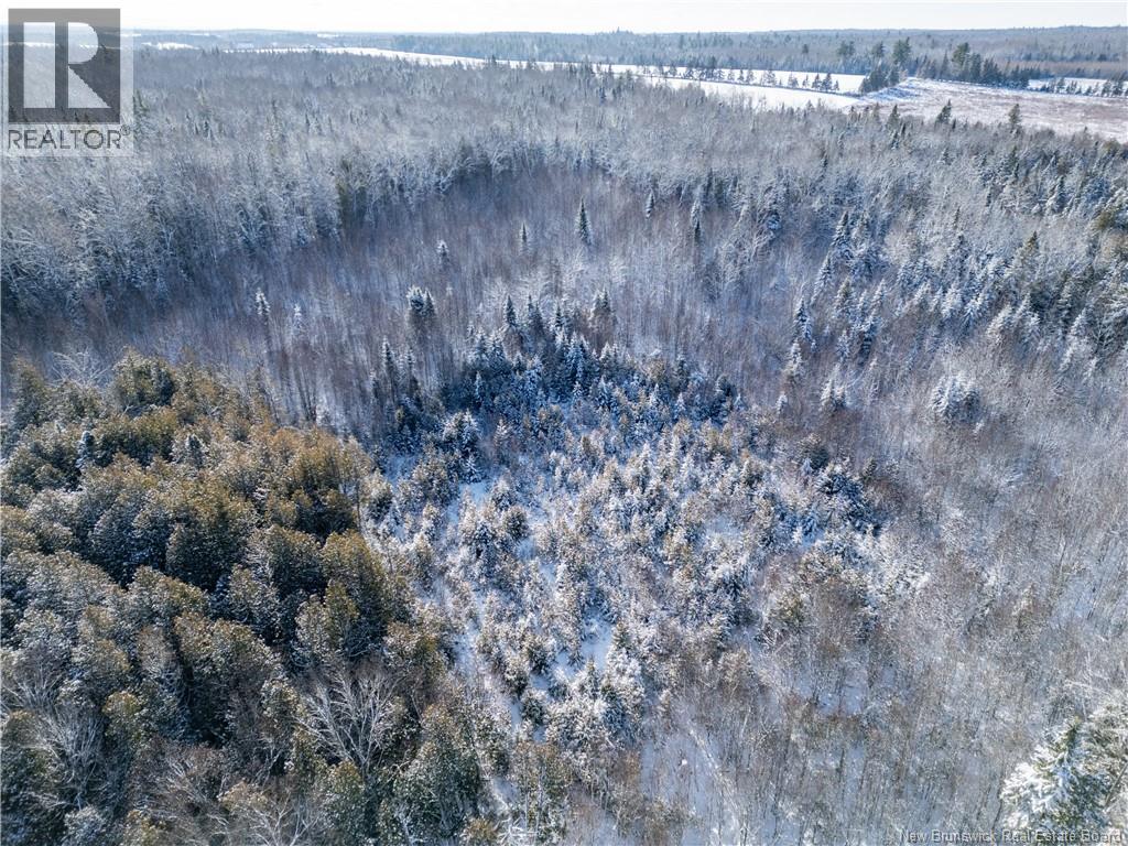 Lot Bristol Road, Saint-Paul, New Brunswick E4T 3C9 - Photo 7 - NB130991