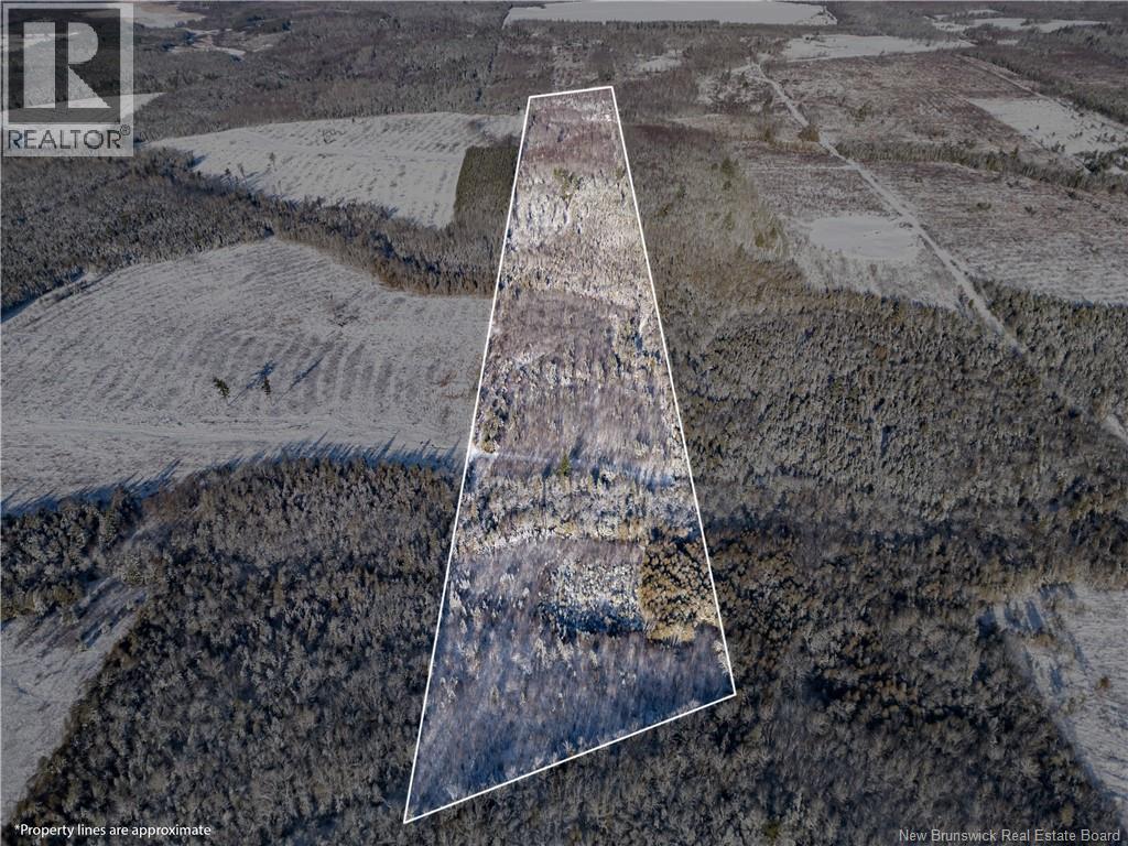 Lot Bristol Road, Saint-Paul, New Brunswick E4T 3C9 - Photo 3 - NB130991