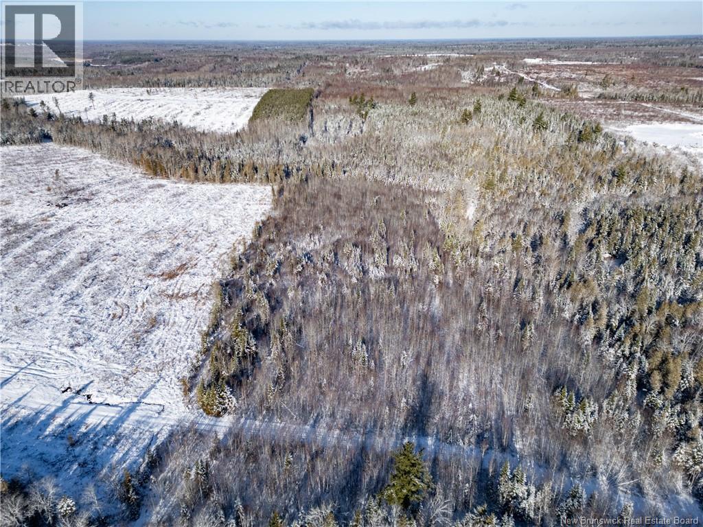 Lot Bristol Road, Saint-Paul, New Brunswick E4T 3C9 - Photo 5 - NB130991