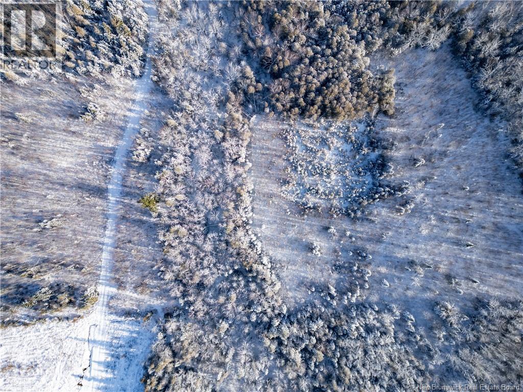 Lot Bristol Road, Saint-Paul, New Brunswick E4T 3C9 - Photo 6 - NB130991