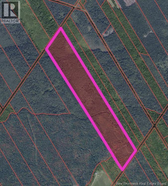 Lot Bristol Road, Saint-Paul, New Brunswick E4T 3C9 - Photo 9 - NB130991