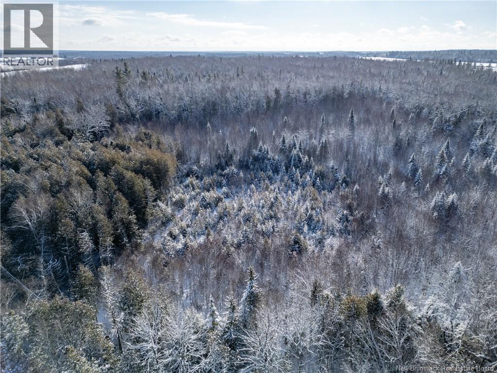Lot Bristol Road, Saint-Paul, New Brunswick E4T 3C9 - Photo 4 - NB130991