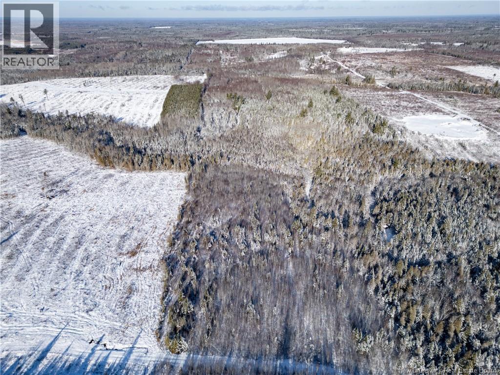Lot Bristol Road, Saint-Paul, New Brunswick E4T 3C9 - Photo 11 - NB130991