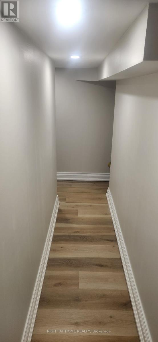 Lower Unit - 39 Maidens Crescent, Collingwood, Ontario  L9Y 5M4 - Photo 13 - S12608588