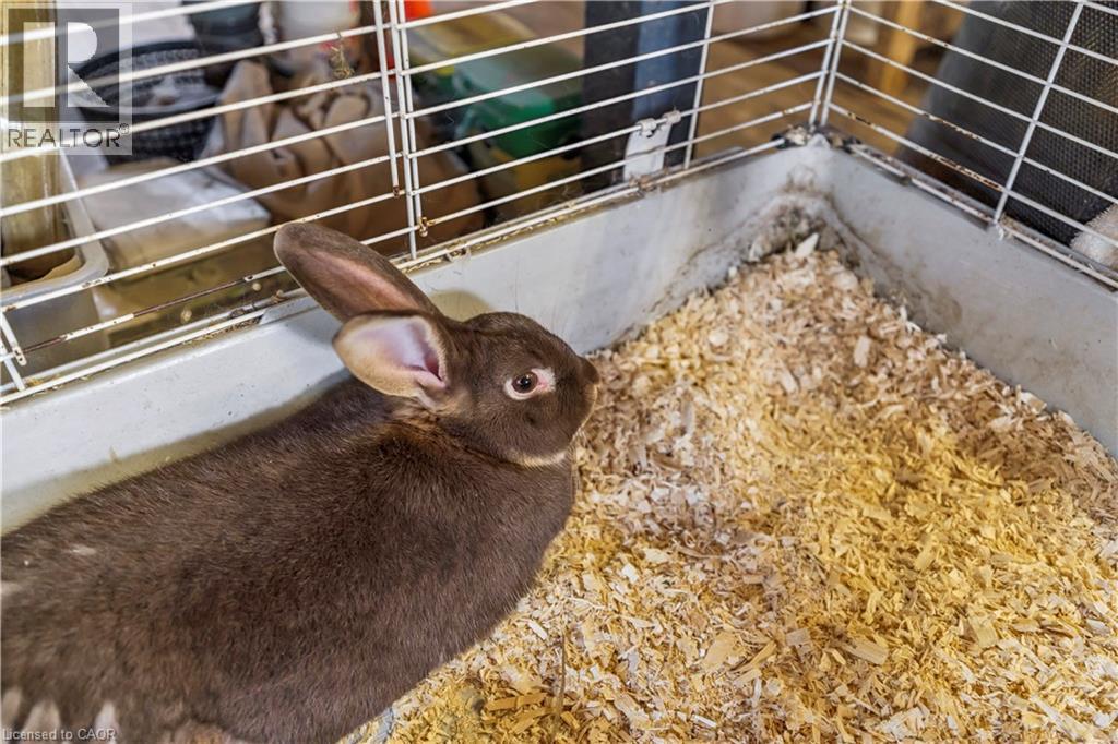 6216 Sunnidale Tosorontio Townline, Glencairn, Ontario  L0M 1K0 - Photo 33 - 40761016