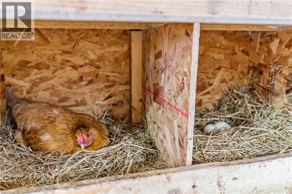 6216 Sunnidale Tosorontio Townline, Glencairn, Ontario  L0M 1K0 - Photo 35 - 40761016