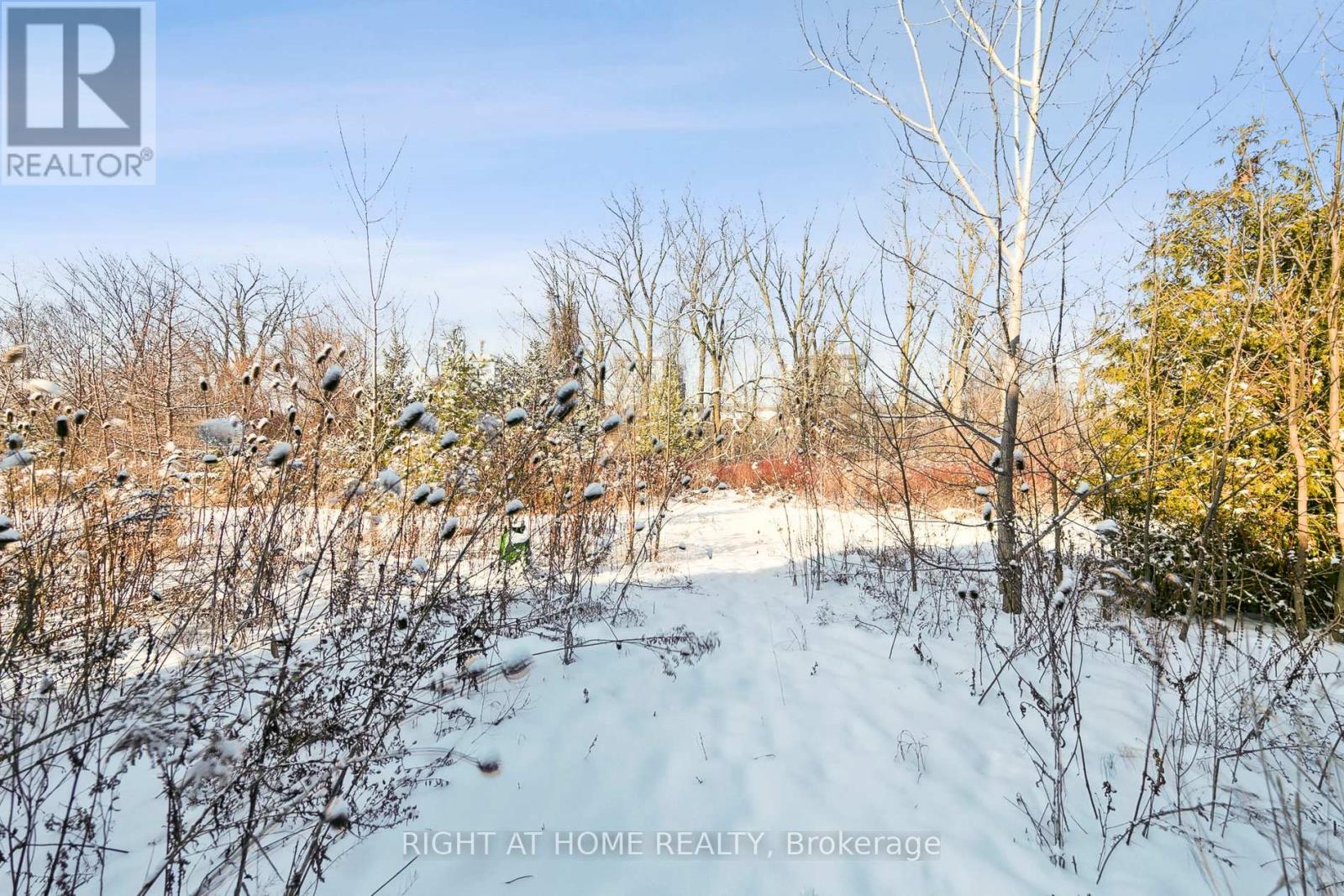 247 Humphrey Street, Hamilton, Ontario  L8B 1X4 - Photo 39 - X12537258