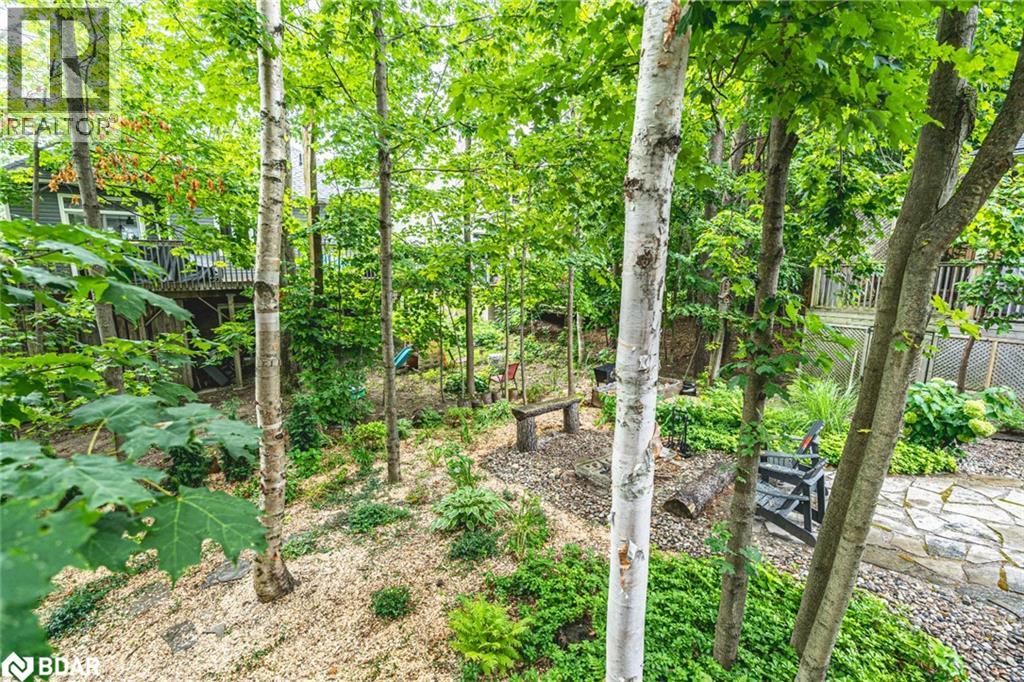 11 Oakmont Avenue, Horseshoe Valley, Ontario  L0L 2L0 - Photo 19 - 40773473