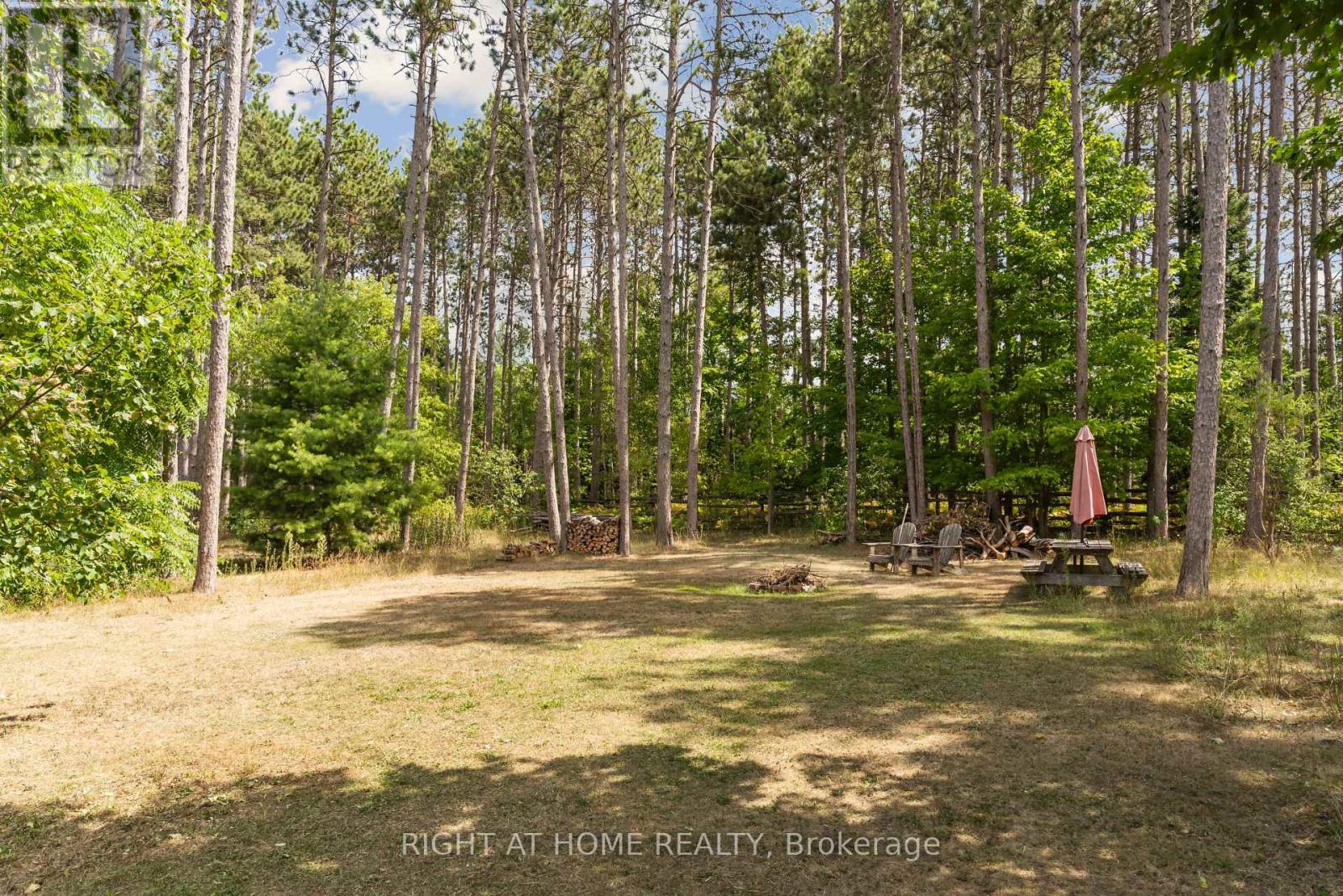 6216 Sunnidale Tosorontio Townline, Clearview, Ontario  L0M 1K0 - Photo 29 - S12348707