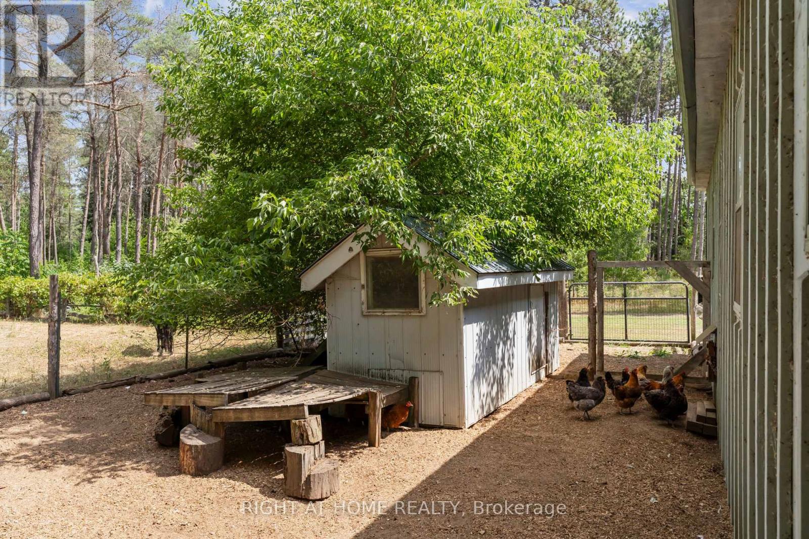 6216 Sunnidale Tosorontio Townline, Clearview, Ontario  L0M 1K0 - Photo 39 - S12348707