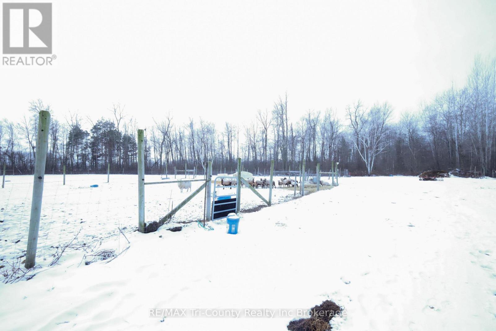 853 Norfolk County 28 Road, Norfolk, Ontario  N0E 1G0 - Photo 39 - X12575076