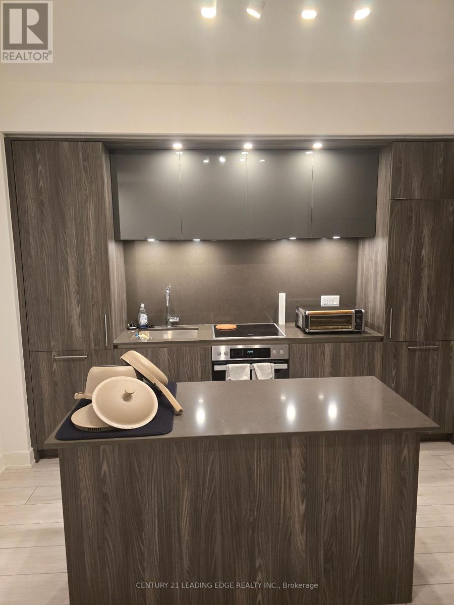 512 - 15 Mercer Street, Toronto, Ontario  M5V 1H2 - Photo 8 - C12608704