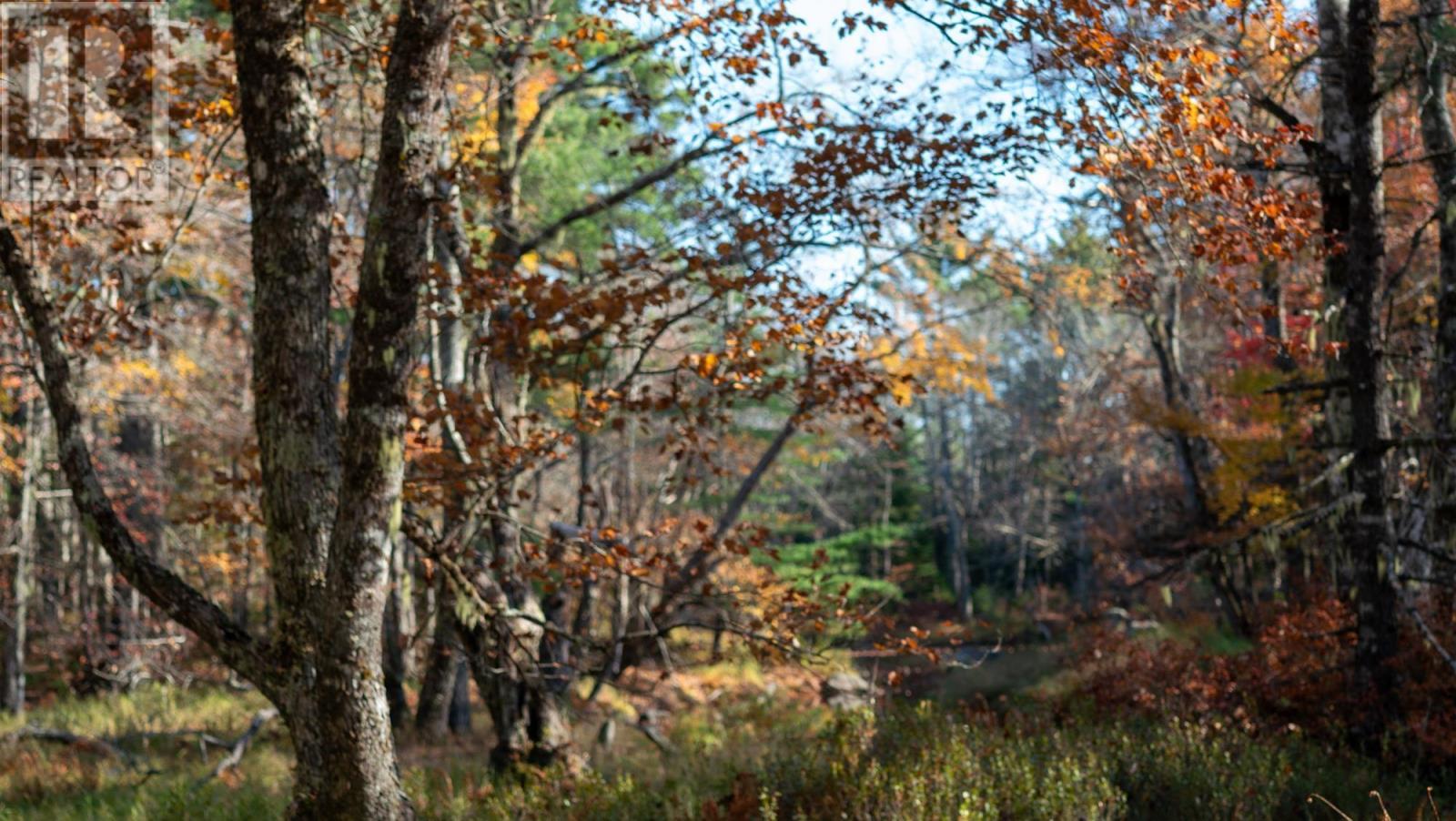 Lot Br-3 Bowers Road, Lower Ohio, Nova Scotia B0T 1W0 - Photo 6 - 202529098