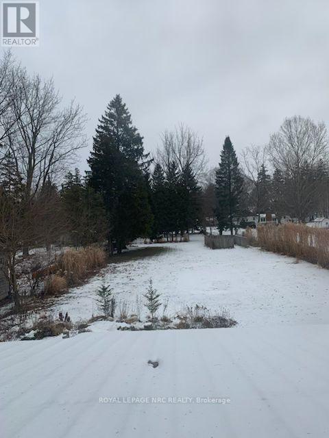 46 Lisgar Street, Chatham-Kent (Ridgetown), Ontario  N0P 2C0 - Photo 37 - X12608816