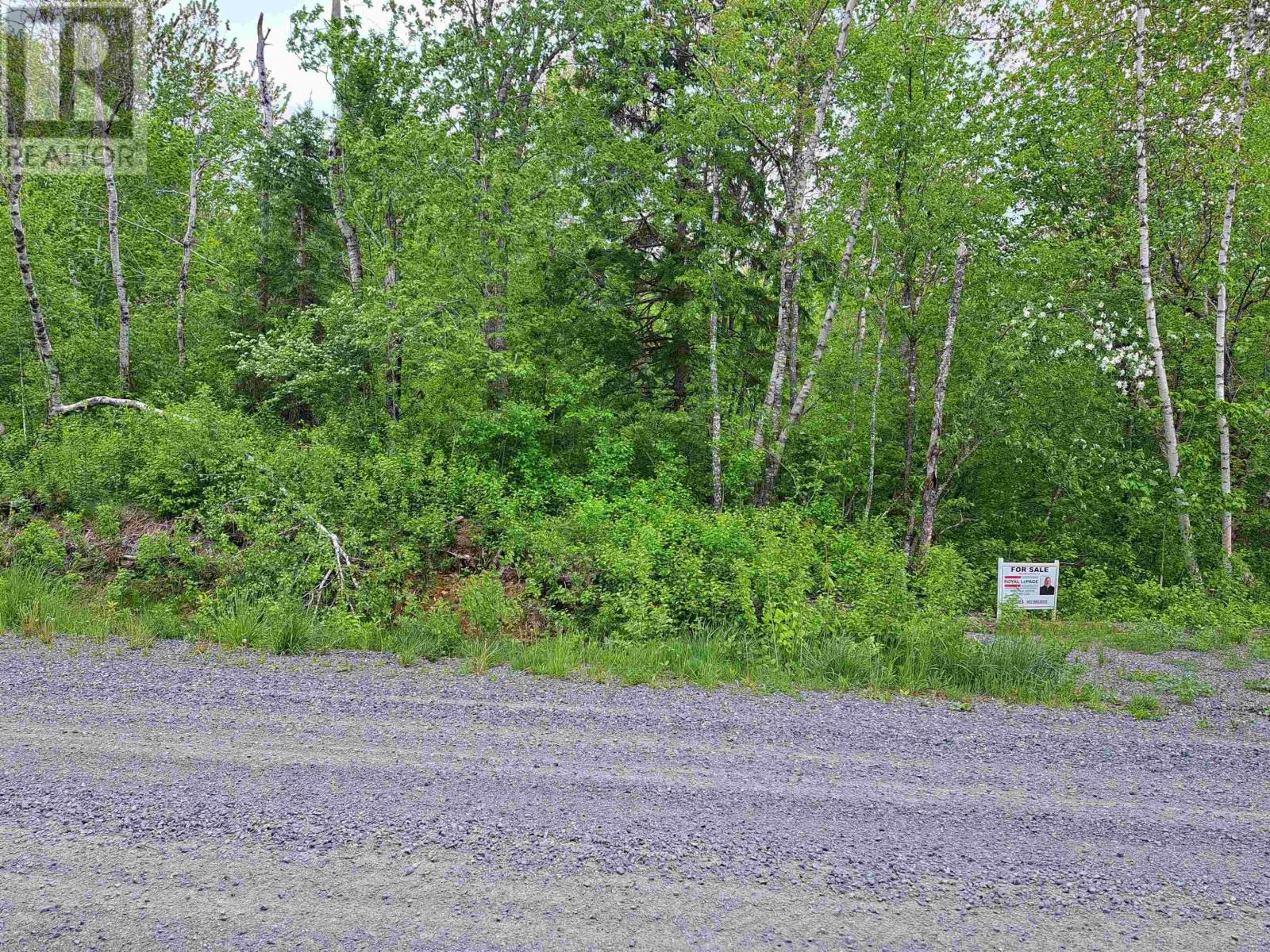 4 Mattatal Branch Road, West Tatamagouche, Nova Scotia  B0K 1V0 - Photo 2 - 202410623