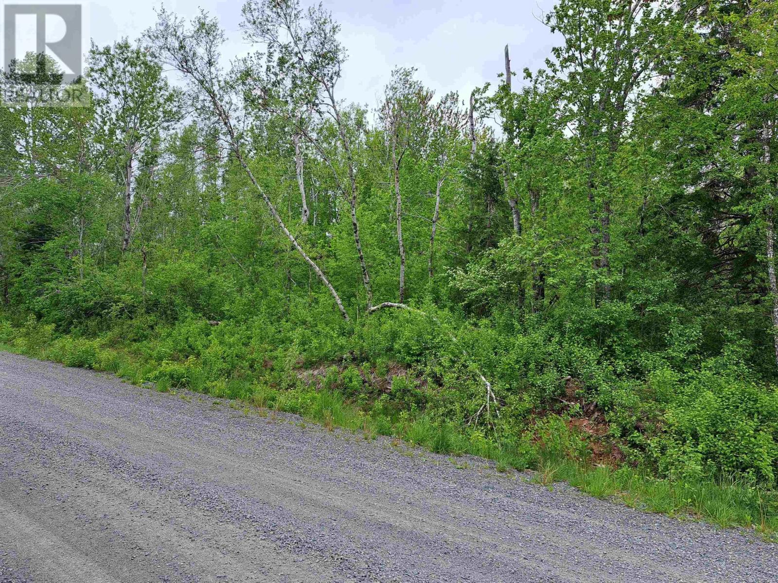 4 Mattatal Branch Road, West Tatamagouche, Nova Scotia  B0K 1V0 - Photo 3 - 202410623