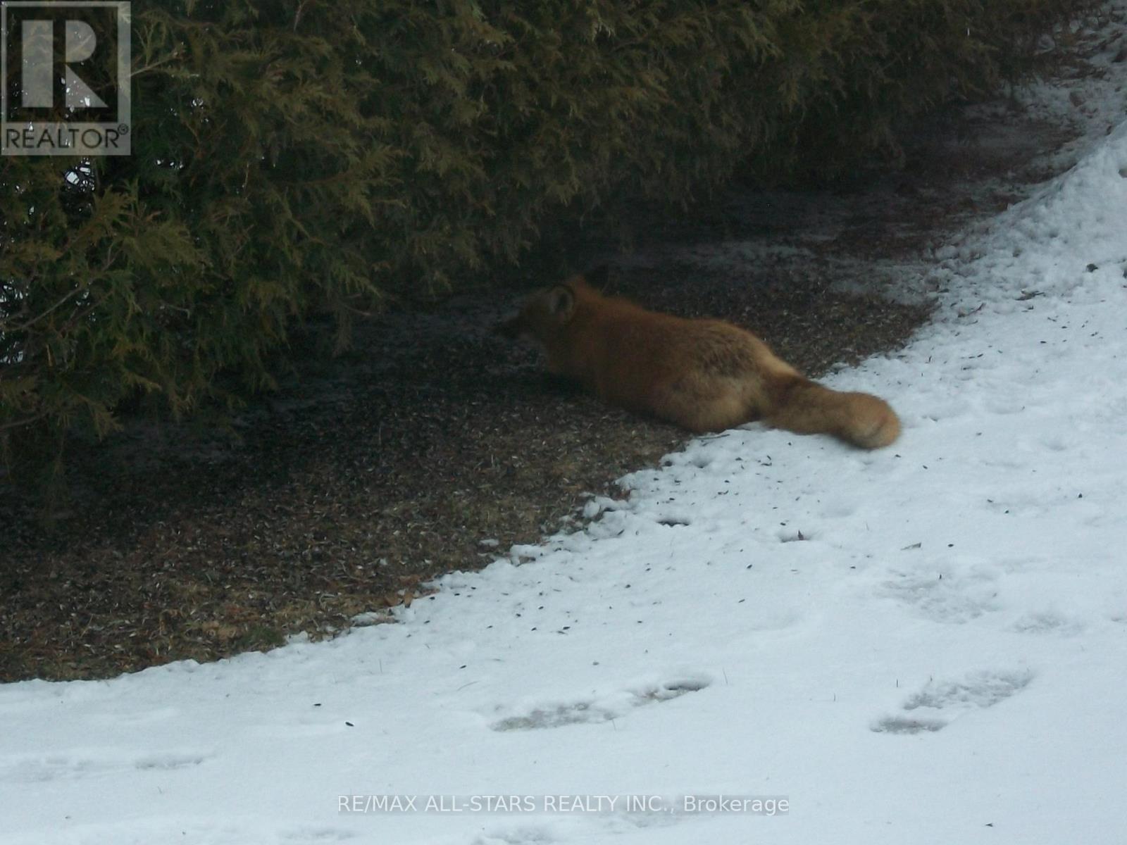 315 Somerville 11 Concession, Kawartha Lakes, Ontario  K0M 1C0 - Photo 41 - X12402651