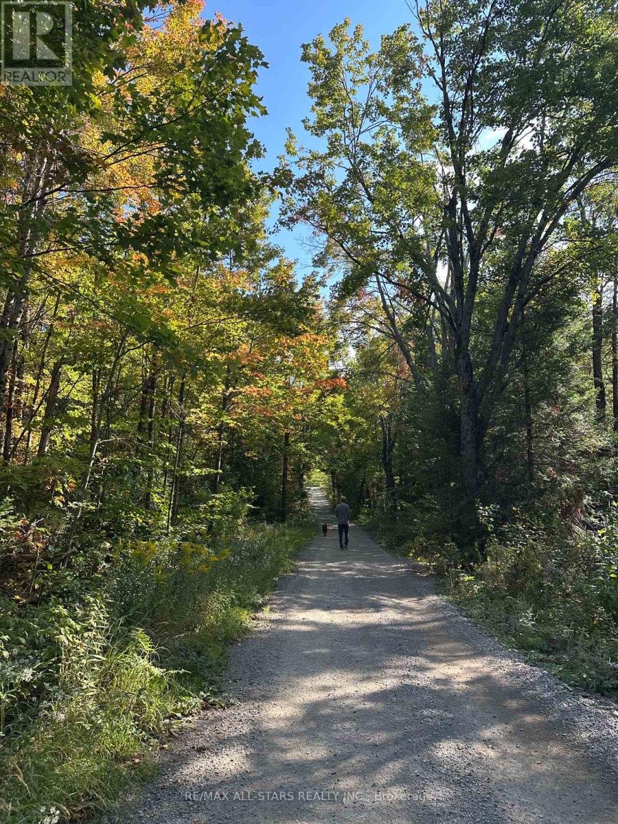 315 Somerville 11 Concession, Kawartha Lakes, Ontario  K0M 1C0 - Photo 45 - X12402651