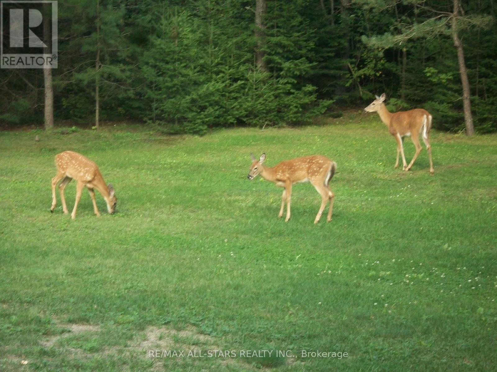 315 Somerville 11 Concession, Kawartha Lakes, Ontario  K0M 1C0 - Photo 39 - X12402651