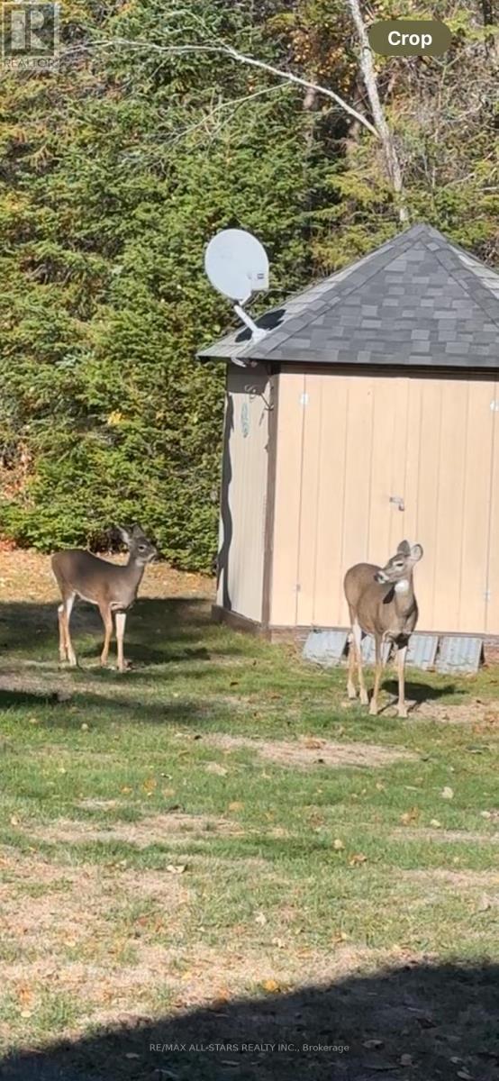 315 Somerville 11 Concession, Kawartha Lakes, Ontario  K0M 1C0 - Photo 46 - X12402651