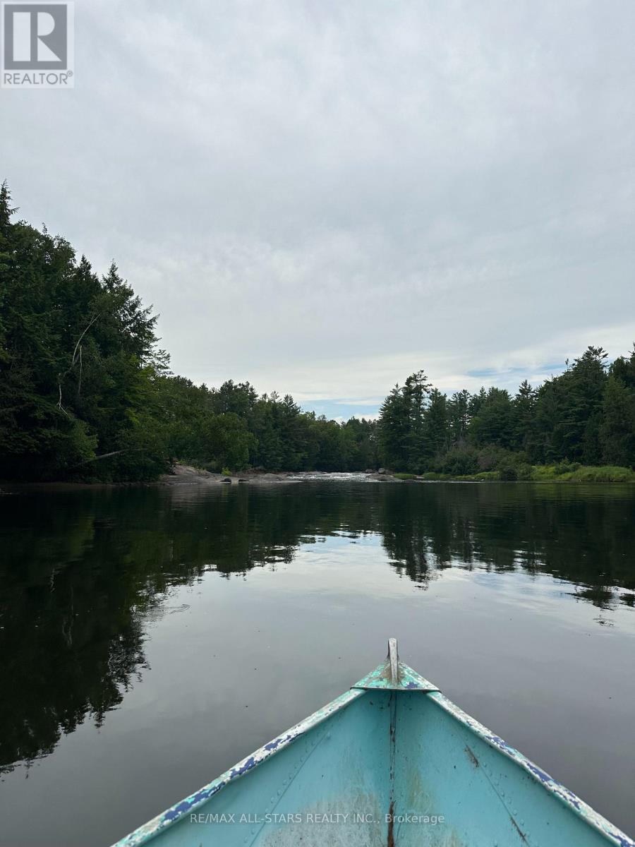 315 Somerville 11 Concession, Kawartha Lakes, Ontario  K0M 1C0 - Photo 43 - X12402651