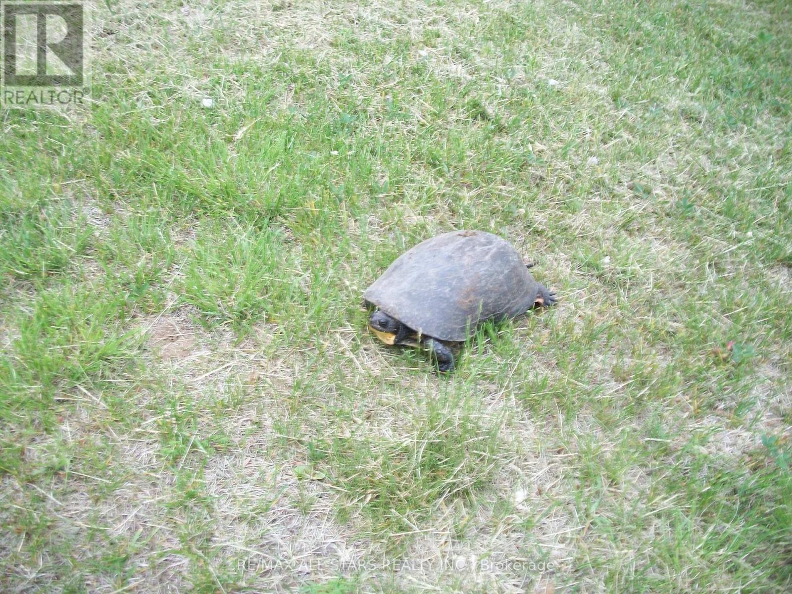 315 Somerville 11 Concession, Kawartha Lakes, Ontario  K0M 1C0 - Photo 40 - X12402651