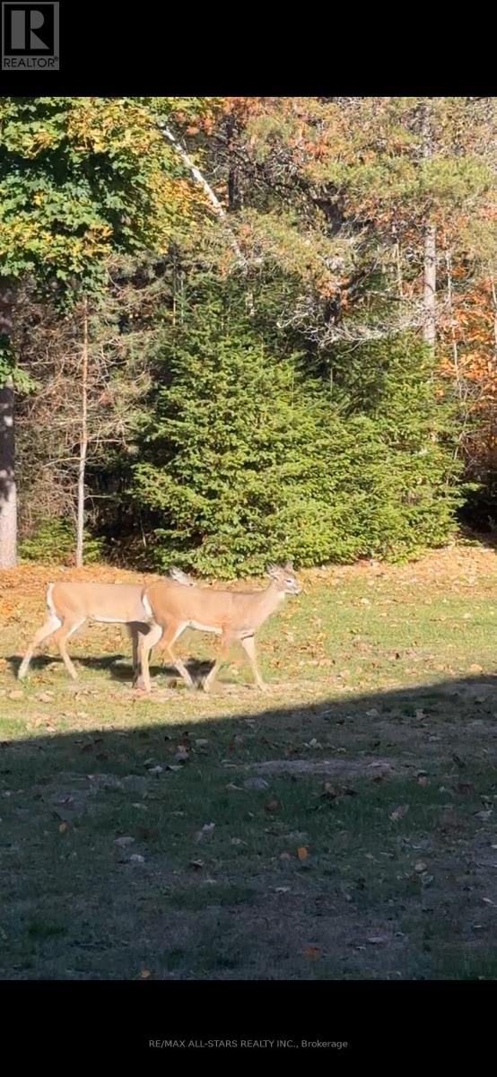 315 Somerville 11 Concession, Kawartha Lakes, Ontario  K0M 1C0 - Photo 48 - X12402651