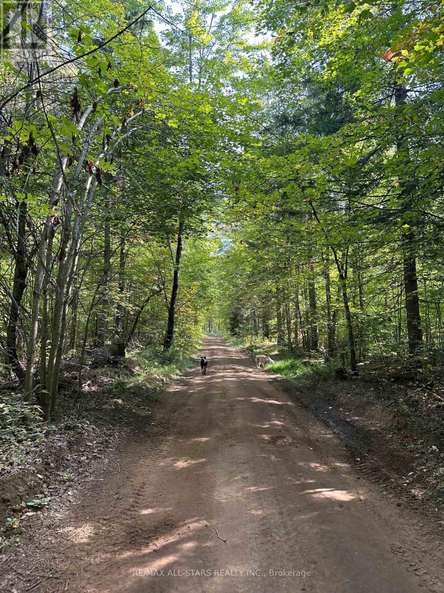 315 Somerville 11 Concession, Kawartha Lakes, Ontario  K0M 1C0 - Photo 44 - X12402651