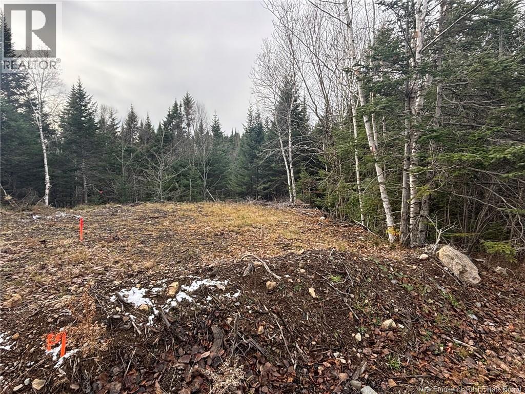 25-3 Spruce Lane, Damascus, New Brunswick  E5N 4B7 - Photo 1 - NB130156