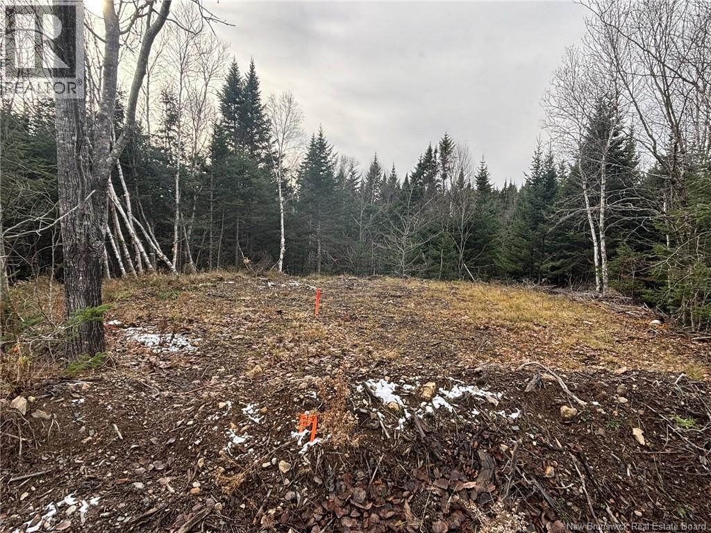 25-3 Spruce Lane, Damascus, New Brunswick  E5N 4B7 - Photo 2 - NB130156