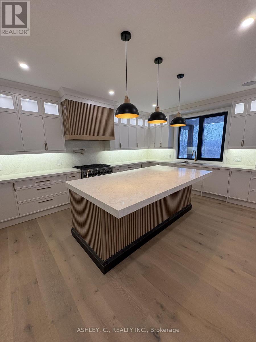 256 Mountain Road, Grimsby, Ontario  L3M 4E7 - Photo 6 - X12608930