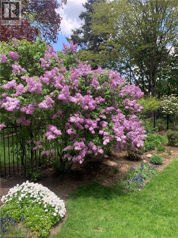 56 Lydia Street, Kitchener, Ontario  N2H 1V5 - Photo 28 - 40790312