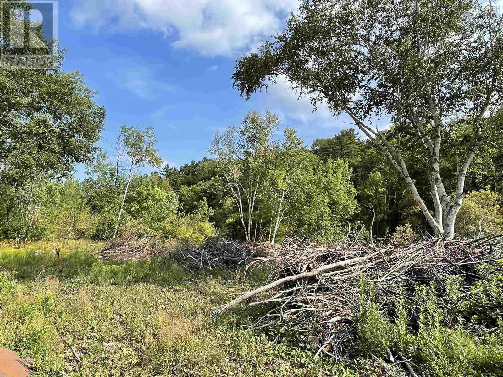 55 Zwicker Mill Road, New Germany, Nova Scotia  B0R 1E0 - Photo 12 - 202520626